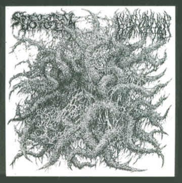 SPECTRAL VOICE / BLOOD IN | SPLIT | 12IN VINYL