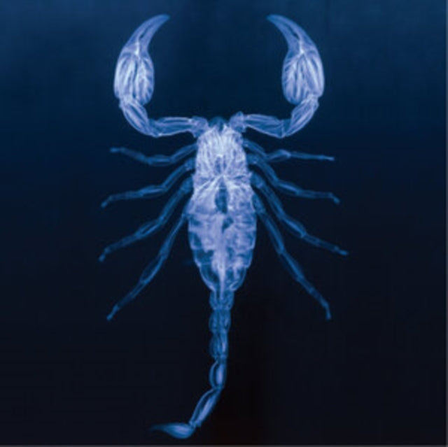 NAVVI | V | VINYL RECORD (LP)