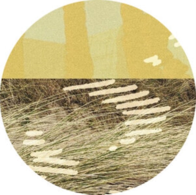 PARRIS | TERRAPIN EP | 12IN VINYL