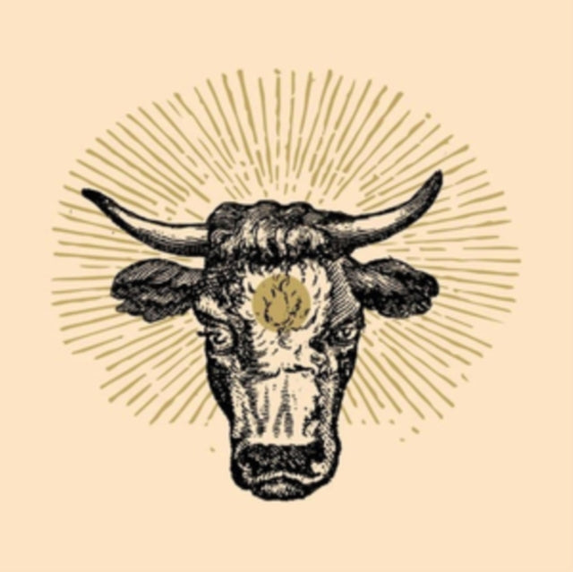 TOROZEBU (CLAP! CLAP! & DOMENICO CANDELLORI) | TOROZEBU | 12IN VINYL