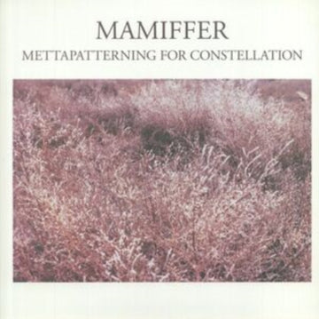 METTAPATTERNING FOR CONSTELLATION (IMPORT) | VINYL RECORD (LP)