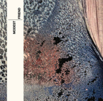 FRIEND | VINYL RECORD (LP)