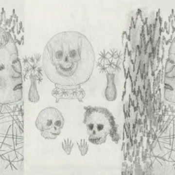 MUZEUM HISTORII NATURALNEJ | VINYL RECORD (LP)