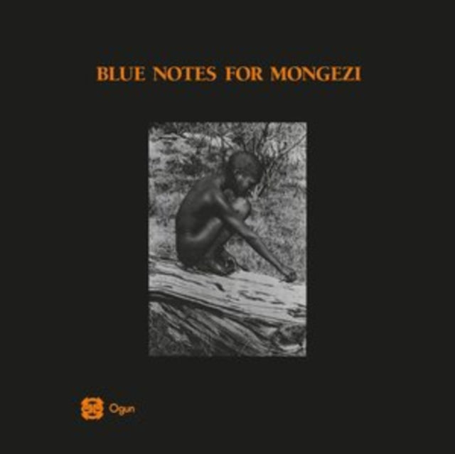 BLUE NOTES | BLUE NOTES FOR MONGEZI | VINYL RECORD (LP)
