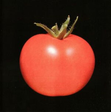 CHRONOFAGE | VINYL RECORD (LP)