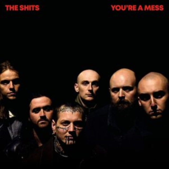 SHITS | YOU'RE A MESS | VINYL RECORD (LP)