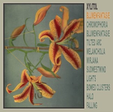 BLUMENFANTASIE | VINYL RECORD (LP)