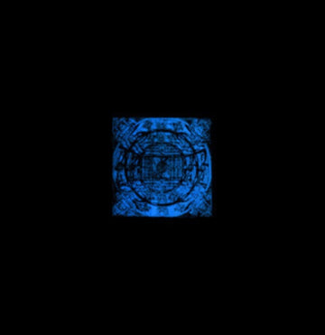 SWARM STRUCTURE | VINYL RECORD (LP)
