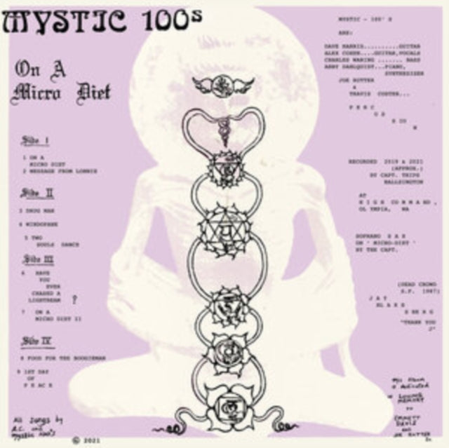 MYSTIC 100'S | ON A MICRO DIET | VINYL RECORD (LP)