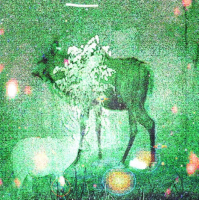 GHOST LEMURS | WOMBS & ALIEN SPIRITS | VINYL RECORD (LP)