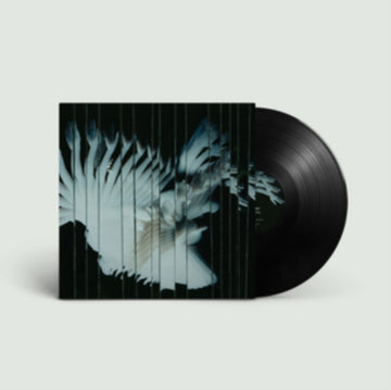 ENDLESSLY | VINYL RECORD (LP)