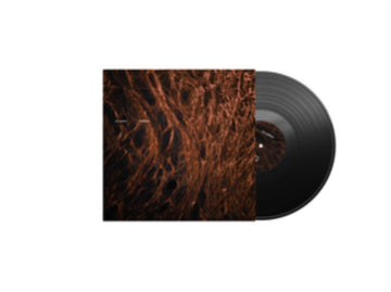 REFLEX | VINYL RECORD (LP)