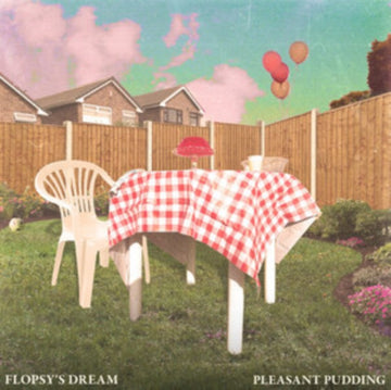 PLEASANT PUDDING | VINYL RECORD (LP)