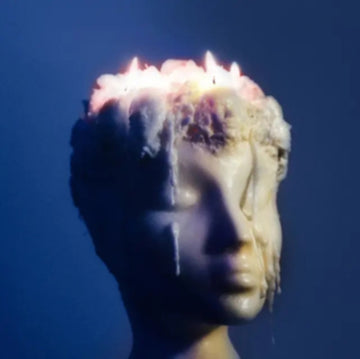 MELTING/SOMETIMES BLEEDING | 12IN VINYL