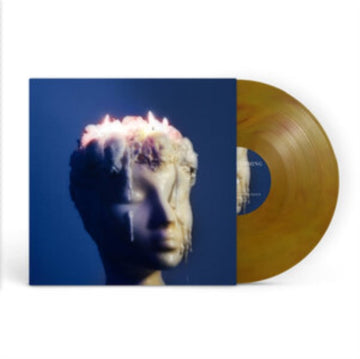 MELTING / SOMETIMES BLEEDING | VINYL RECORD (LP)