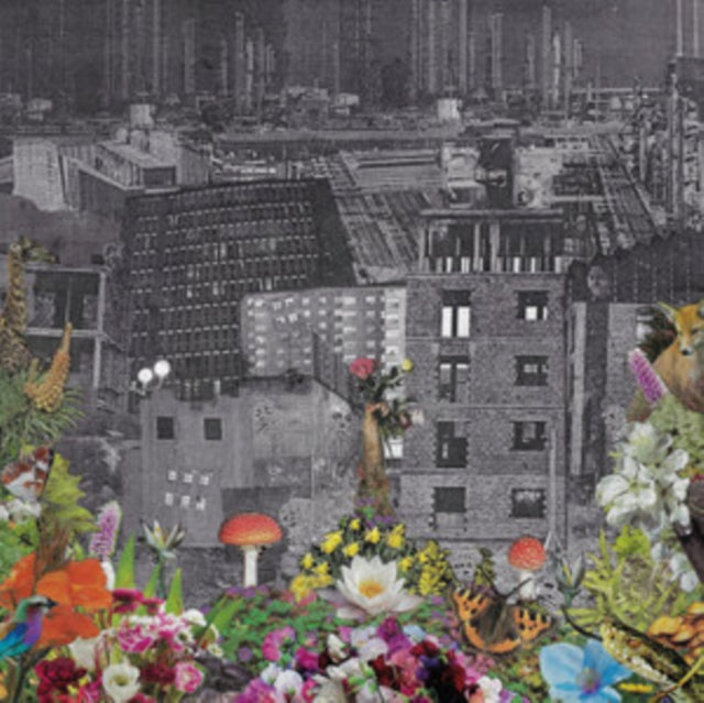 BLOODY HEAD | PERPETUAL EDEN | VINYL RECORD (LP)