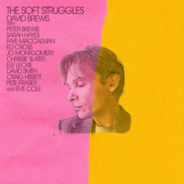 BREWIS, DAVID | SOFT STRUGGLES | VINYL RECORD (LP)