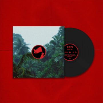 COLOUR SPACE TRANSFORM | 12IN VINYL