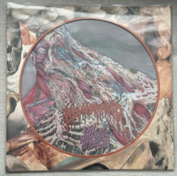 RAW MATERIALS OF DECAY | VINYL RECORD (LP)