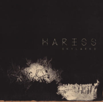 SKYLARKS | VINYL RECORD (LP)