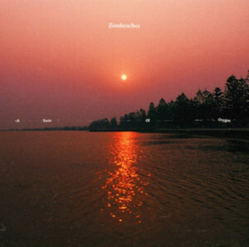 TASTE OF OXYGEN | VINYL RECORD (LP)