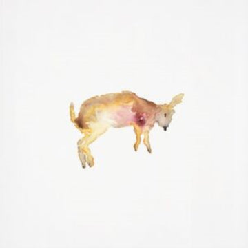 MAY A SOFT SUN BLESS YOUR SKY WHILE YOU WAIT FOR THE INEVITABLE | VINYL RECORD (LP)