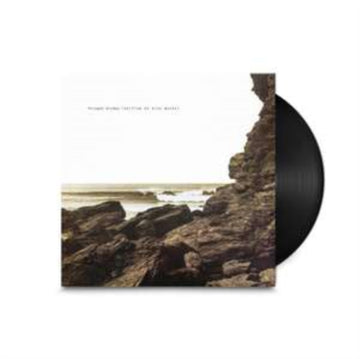 SURFING ON SINE WAVES (EXPANDED EDITION) (3LP) | VINYL RECORD (LP)