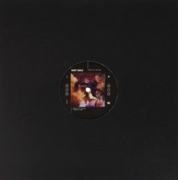 SETTLE IN THE SUN | 12IN VINYL