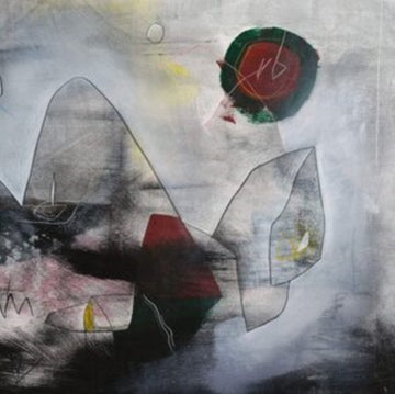 SLY & THE FAMILY DRONE | WALK IT DRY | VINYL RECORD (LP)
