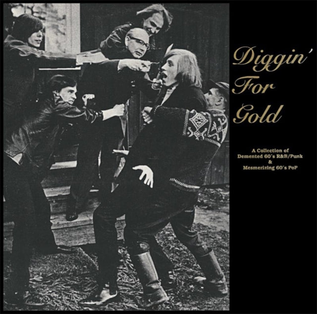 VARIOUS ARTISTS | DIGGIN FOR GOLD | VINYL RECORD (LP)