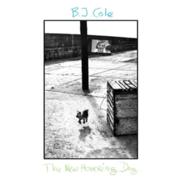 COLE, BJ | NEW HOVERING DOG | VINYL RECORD (LP)