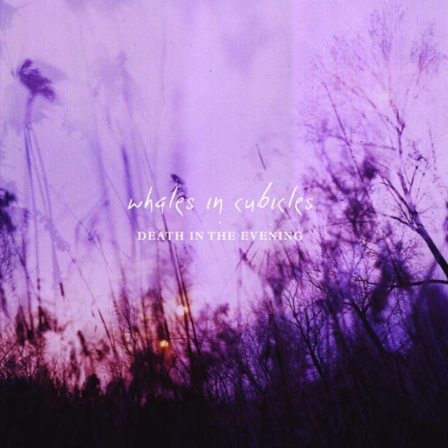 WHALES IN CUBICLES | DEATH IN THE EVENING | VINYL RECORD (LP)