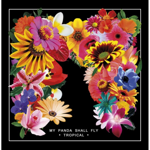 MY PANDA SHALL FLY | TROPICAL (DL CARD) | VINYL RECORD (LP)