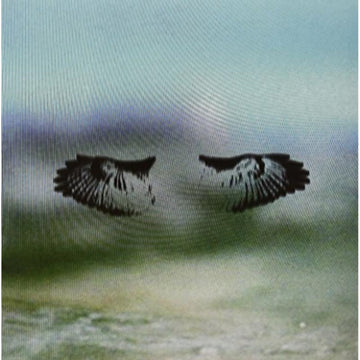 MILES OF MAD WATER | VINYL RECORD (LP)