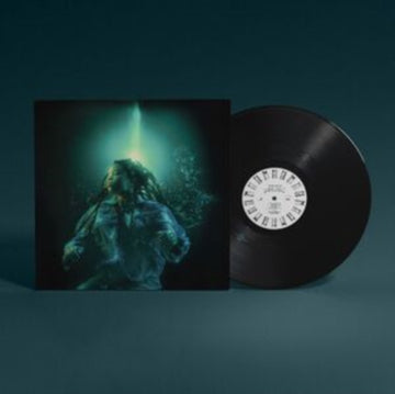 ROOM WITH A DOOR THAT CLOSES | VINYL RECORD (LP)