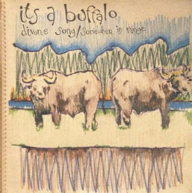 ITS A BUFFALO | DIVORCE SONG | VINYL RECORD (LP)