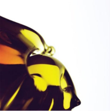 TRUE LOVES | VINYL RECORD (LP)