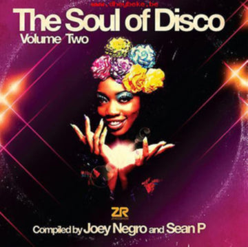 NEGRO, JOEY / SEAN P | SOUL OF DISCO VOL. 2 (GATEFOLD) | VINYL RECORD (LP)