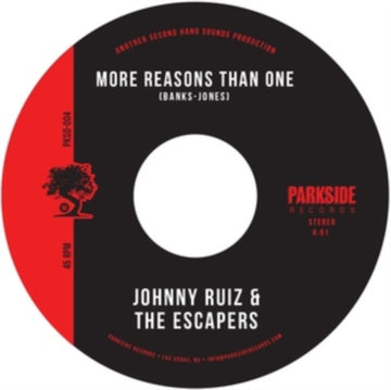 MORE REASONS THAN ONE/STAY IN | 7IN VINYL