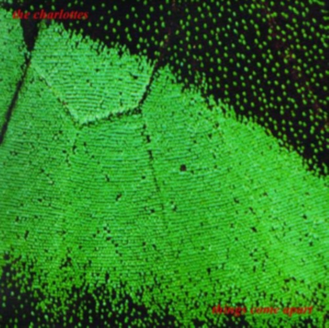 CHARLOTTES | THINGS COME APART | VINYL RECORD (LP)
