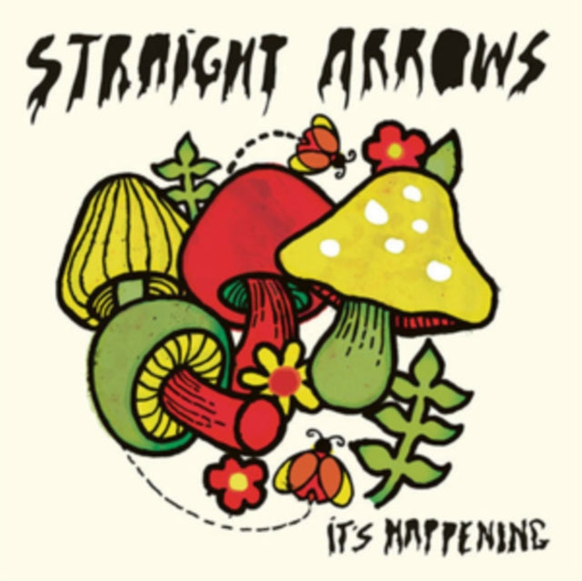 STRAIGHT ARROWS | IT'S HAPPENING | VINYL RECORD (LP)