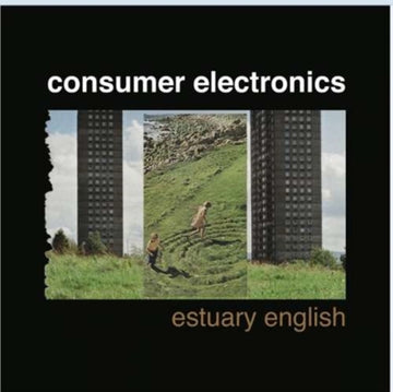 CONSUMER ELECTRONICS | ESTUARY ENGLISH (2XTIN/CD) | 12IN VINYL