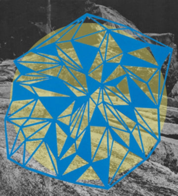 FIELD THEORY | VINYL RECORD (LP)