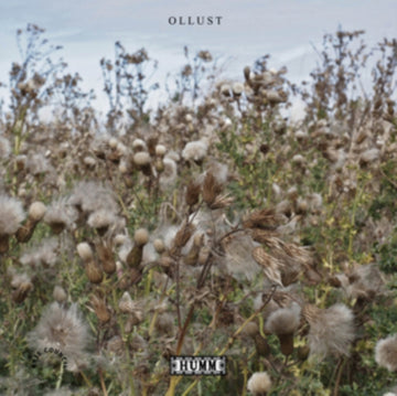 OLLUST (IMPORT) | VINYL RECORD (LP)