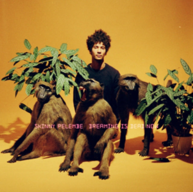 PELEMBE, SKINNY | DREAMING IS DEAD NOW | VINYL RECORD (LP)