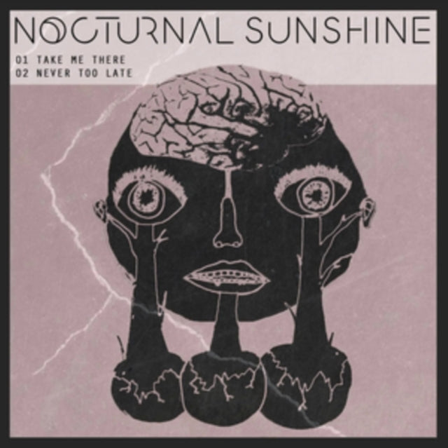 NOCTURNAL SUNSHINE | TAKE ME THERE | 12IN VINYL