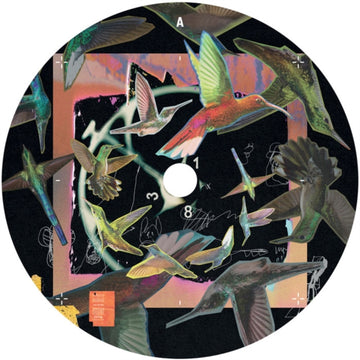 DONT GO | VINYL RECORD (LP)