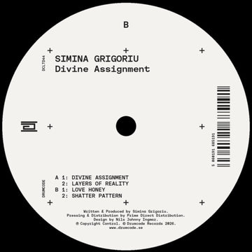 DIVINE ASSIGNMENT | 12IN VINYL
