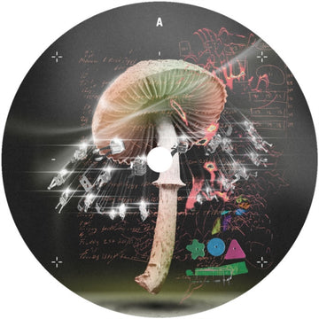 MOVE 2 THE GROOVE | 12IN VINYL
