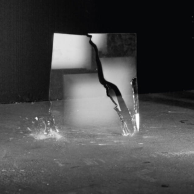 SCHWALM, JAN-PETER | BEAUTY OF DISASTER | VINYL RECORD (LP)